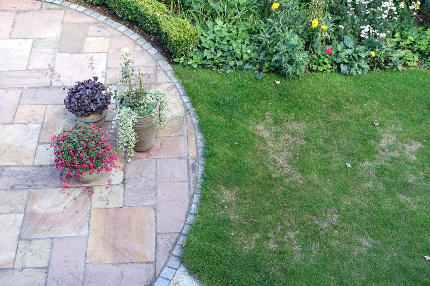 Patchy Lawn