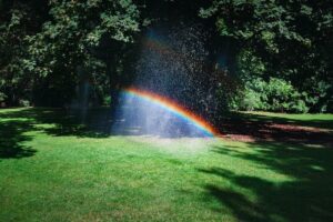 Rainbow over a shaded lawn