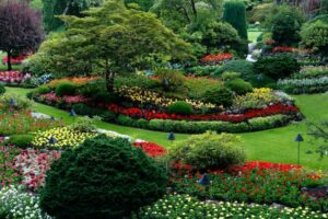 A beautiful ornamental garden