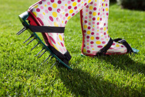 Aeration sandals to pierce holes into the lawn