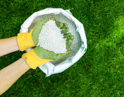 A handful of granulated fertiliser