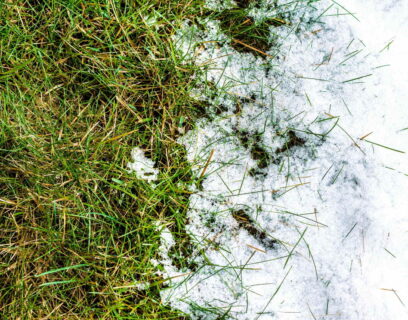 How to repair your lawn after winter