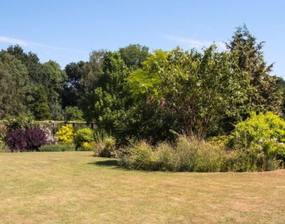 big garden with lots of patches and bold spots to repair