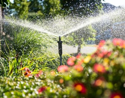 Garden sprayer to spray the lawn in summer