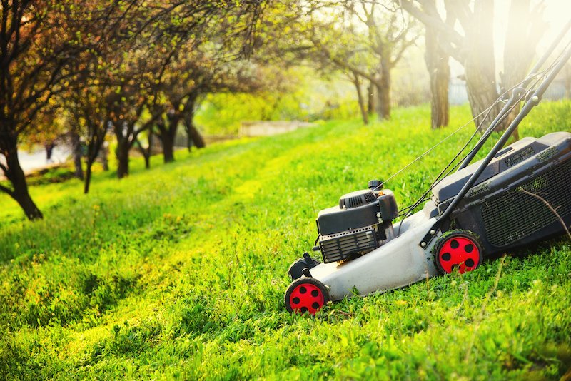 Mowing trim green grass on lawn hill with lawnmower