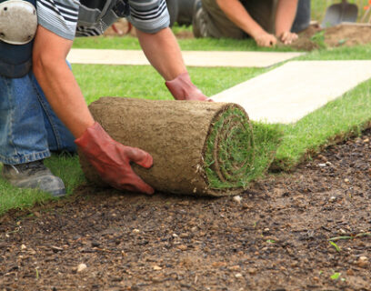 Man returfing a lawn