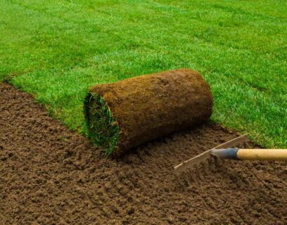 Laying turf rolls on ground