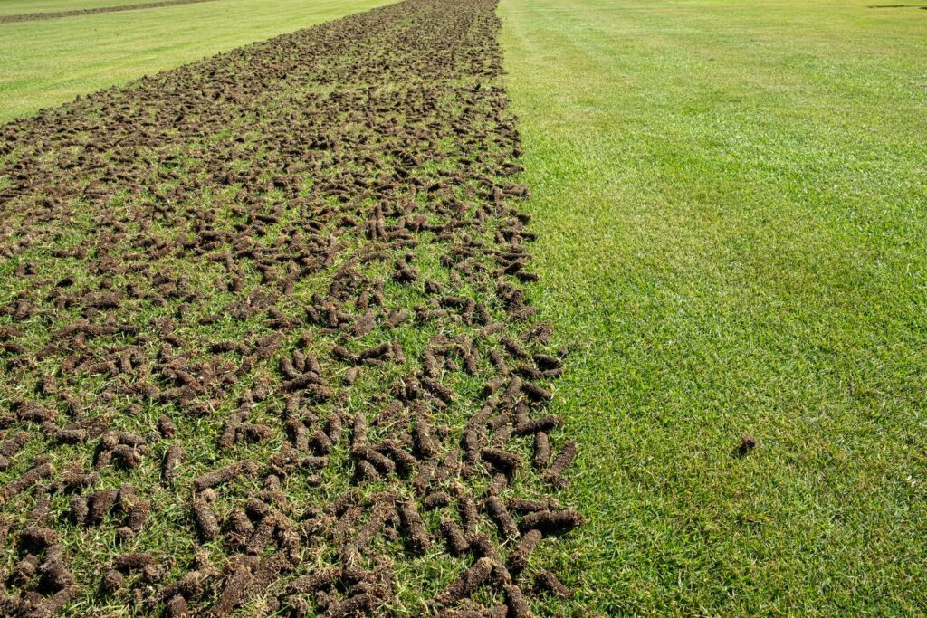 holes in the lawn due to proper lawn aeration