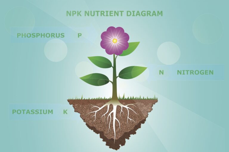 npk nutrient diagram