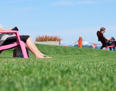 Sunbathing on a lush July lawn.