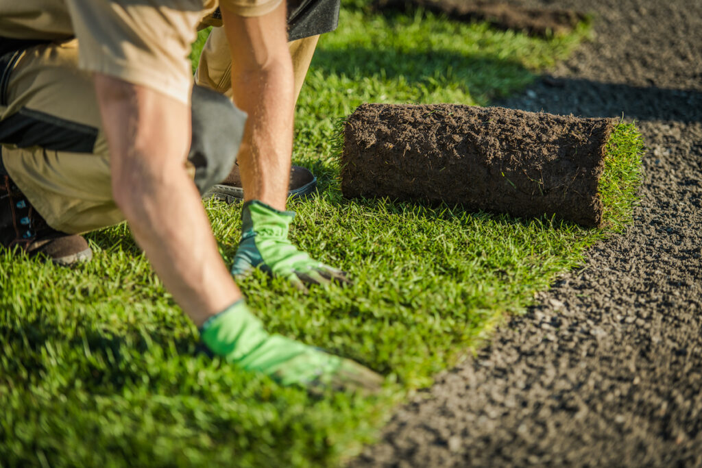 Laying turf by hand