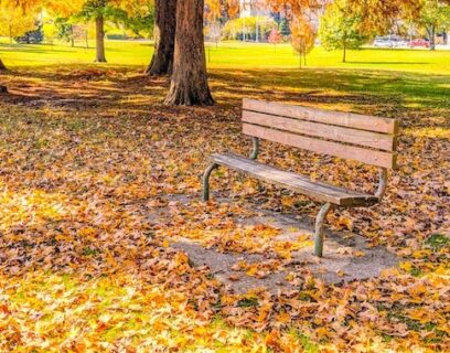 Fallen leaves on autumn lawn