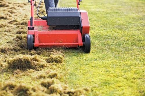 Detaching a lawn with a scarifier.