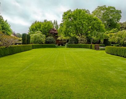 An example lawn with the size of 250 square metres