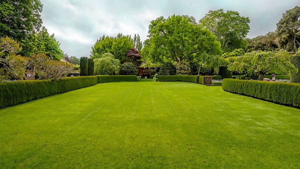 An example lawn with the size of 250 square metres