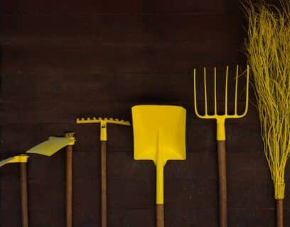 Colour co-oridinated gardening tools