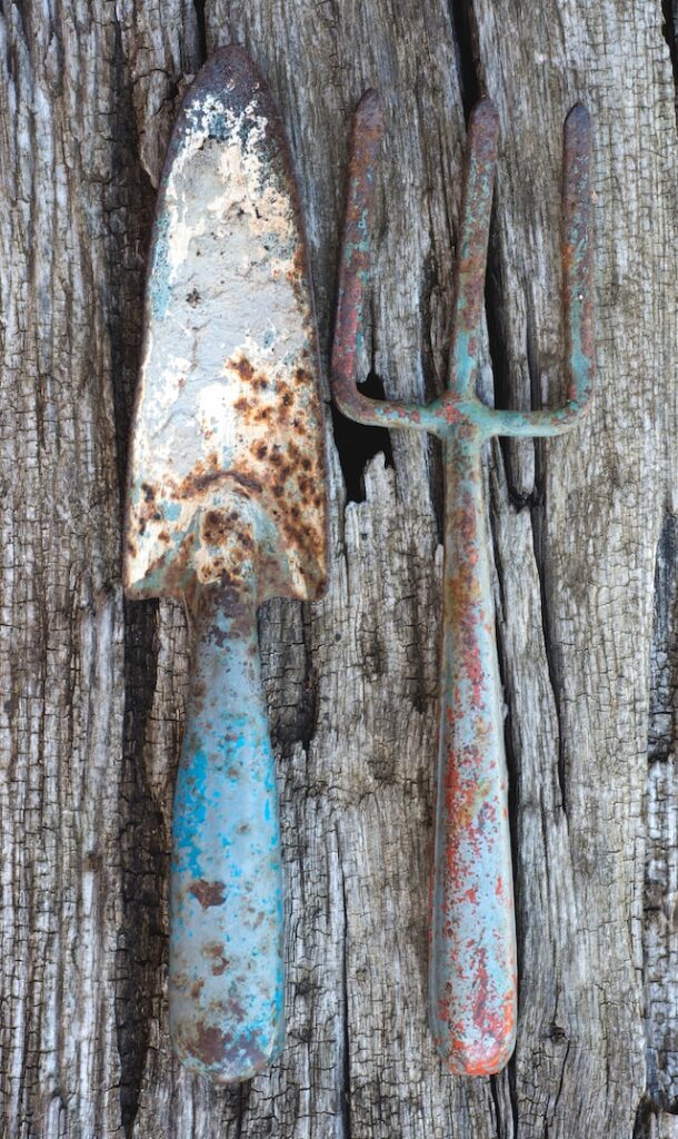 Gardening trowel and fork on gnarly wooden table