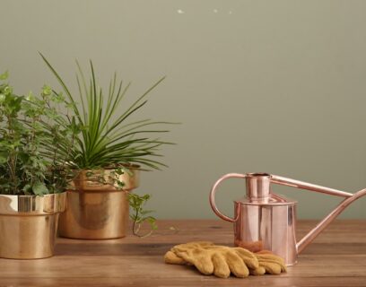 Beautiful indoor plants and a watering can