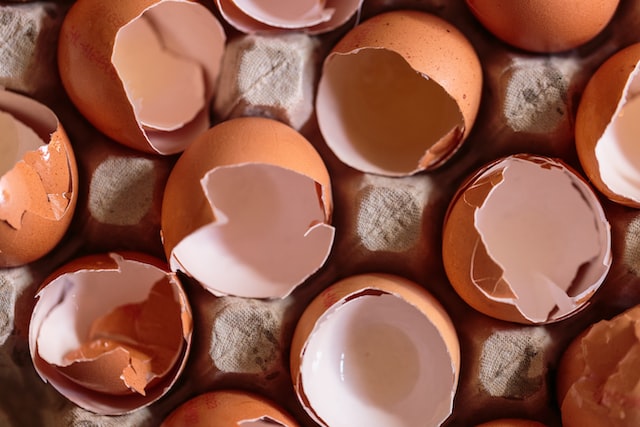 Egg shells in an egg box.