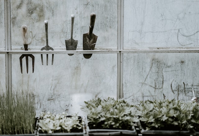 Garden tools in a greenhouse