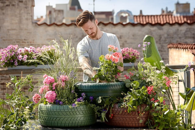 A man tending to plants in recycled tyres.