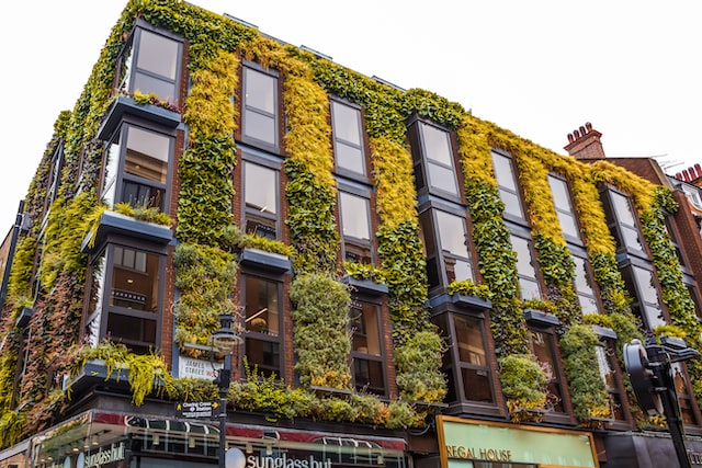 Green wall surrounding an apartment block