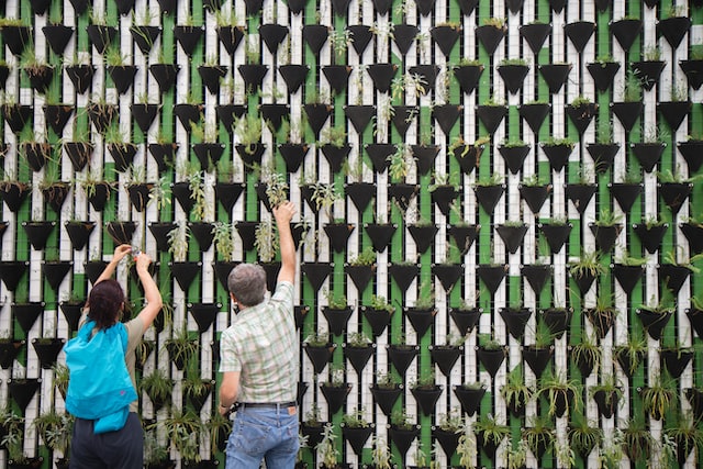 Outdoor green wall frame