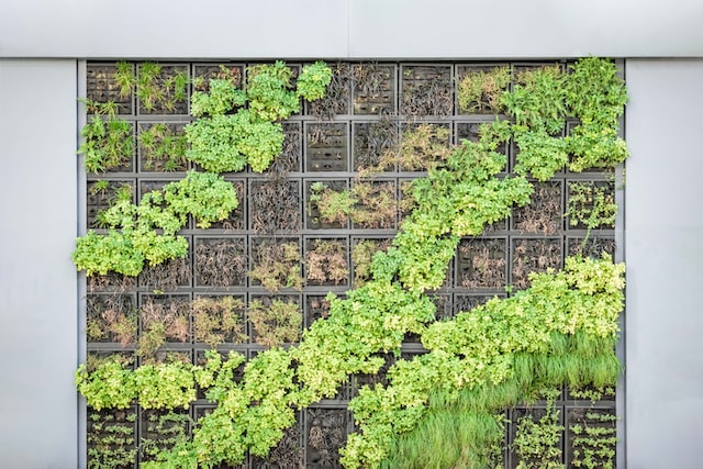 Young vertical garden