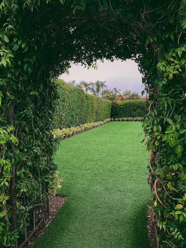 Perfectly trimmed hedges