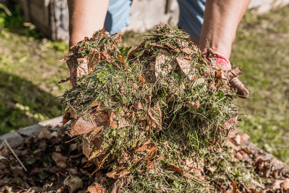 Mixing compost of grass and leaves by hand