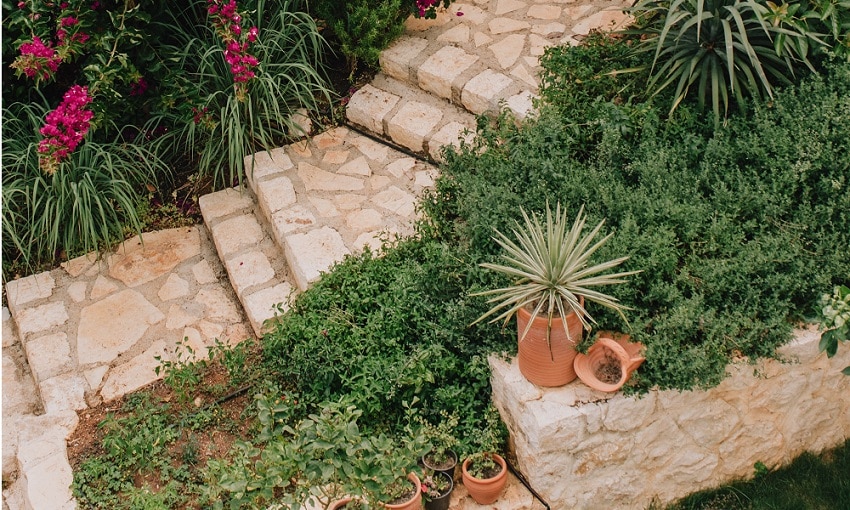 Clean curving garden path