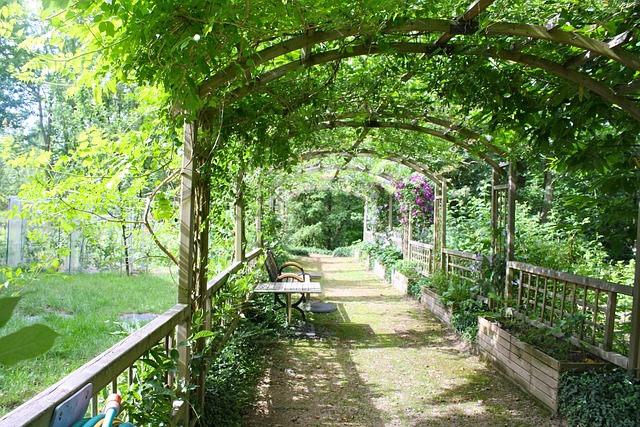 Shaded pergola path