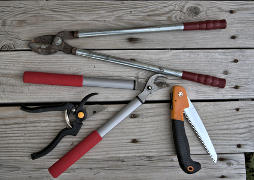 A selection of pruning tools on a wooden table