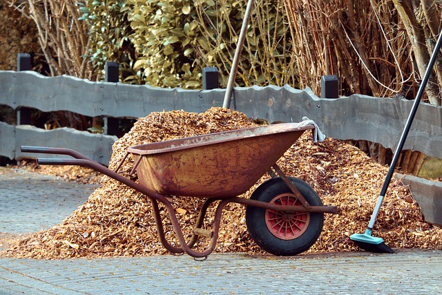 Wheel barrow with a pile of mulch
